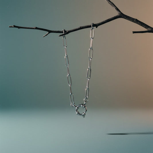 Aramat Jewels silver-tone stainless steel paperclip link charm necklace with a toggle clasp.