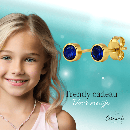 RVS Oorbellen met Donkerblauwe Zirkonia - 5mm - oor2065 - XE58221 - Oorbellen kopen# - 5mm - alles - blauw