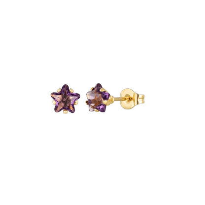 Boucles d'oreilles étoile dorées avec zircon violet en acier inoxydable