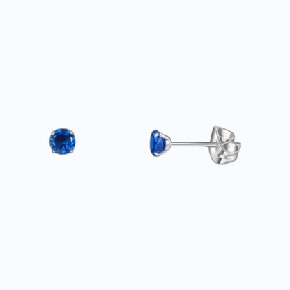 Titanium Earrings with Dark Blue Zirconia