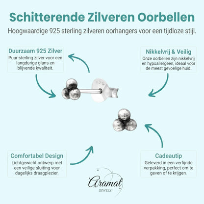 925 zilveren Oorbellen Kinder Dots 4mm - Aramat Jewels - Oorbellen - cadeautip