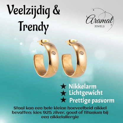 Earrings – 23mm Hoop Creole Zirconia Accent Stainless Steel Gold Color Unisex