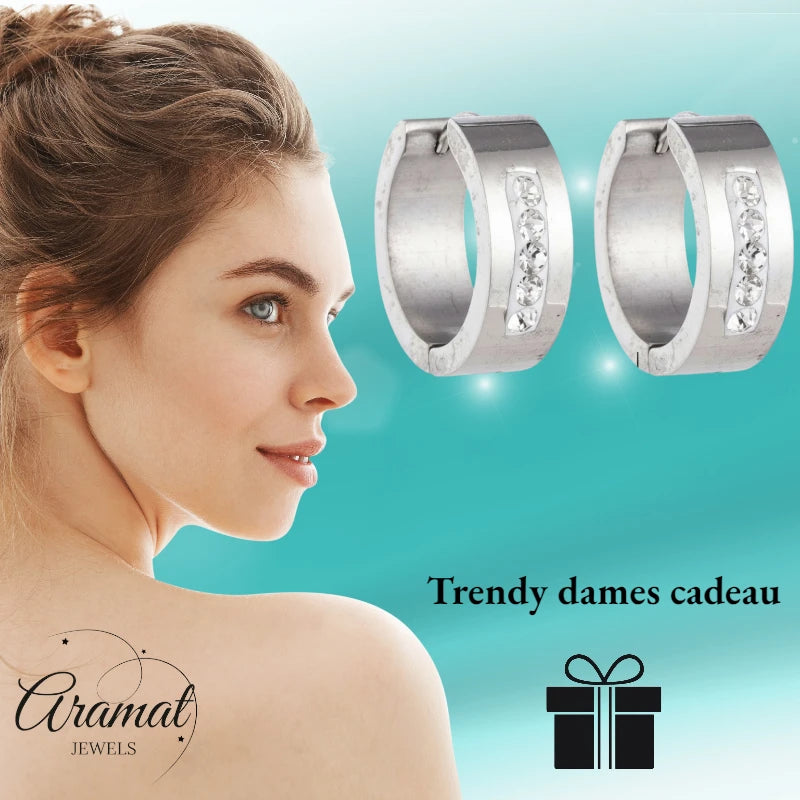 Stainless Steel Earrings Crystal Stripe Silver Color 20mm - Women 