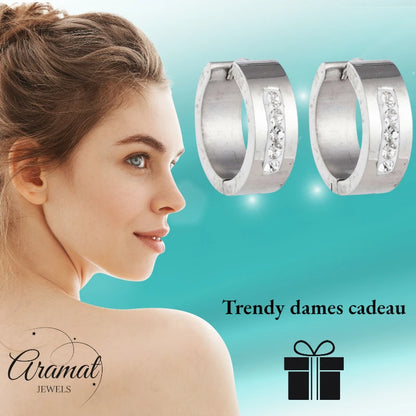 Stainless Steel Earrings Crystal Stripe Silver Color 20mm - Women 