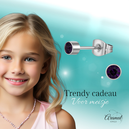 Boucles d'oreilles puces en cristal d'améthyste violet – acier inoxydable 4 mm