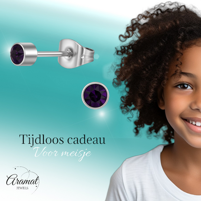 Boucles d'oreilles puces en cristal d'améthyste violet – acier inoxydable 4 mm