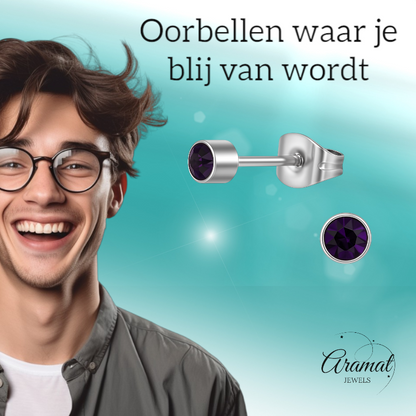 Boucles d'oreilles puces en cristal d'améthyste violet – acier inoxydable 4 mm