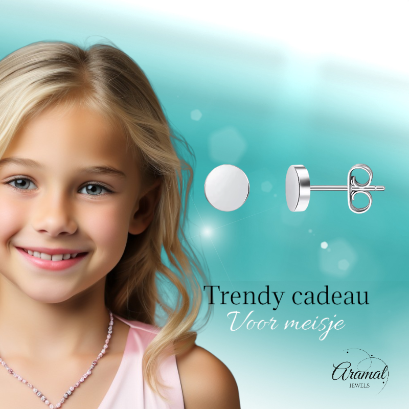 Boucles d'oreilles puces rondes argentées en acier inoxydable 5 mm