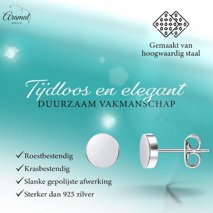 Boucles d'oreilles puces rondes argentées en acier inoxydable 6 mm