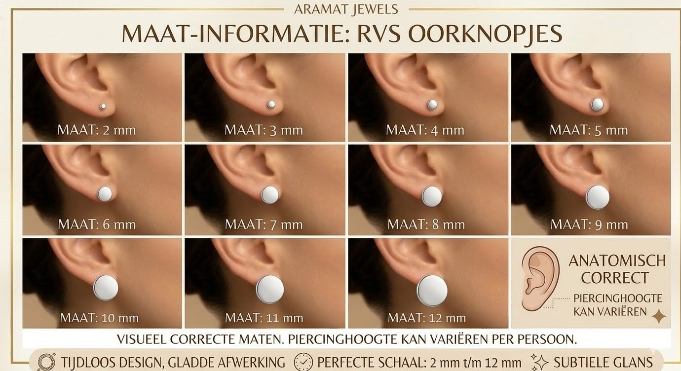 Aramat Jewels zilverkleurige oorstekers met transparant kristal van 6mm, gemaakt van roestvrij staal.