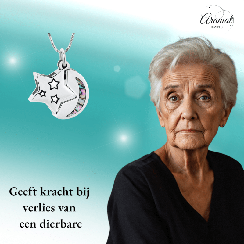 Ashanger Ster en Maan - Zilverkleurig RVS met Abalone - hang1475 - IJD20083 - Gedenkhangers kopen# - 22mm - Abalone - alles