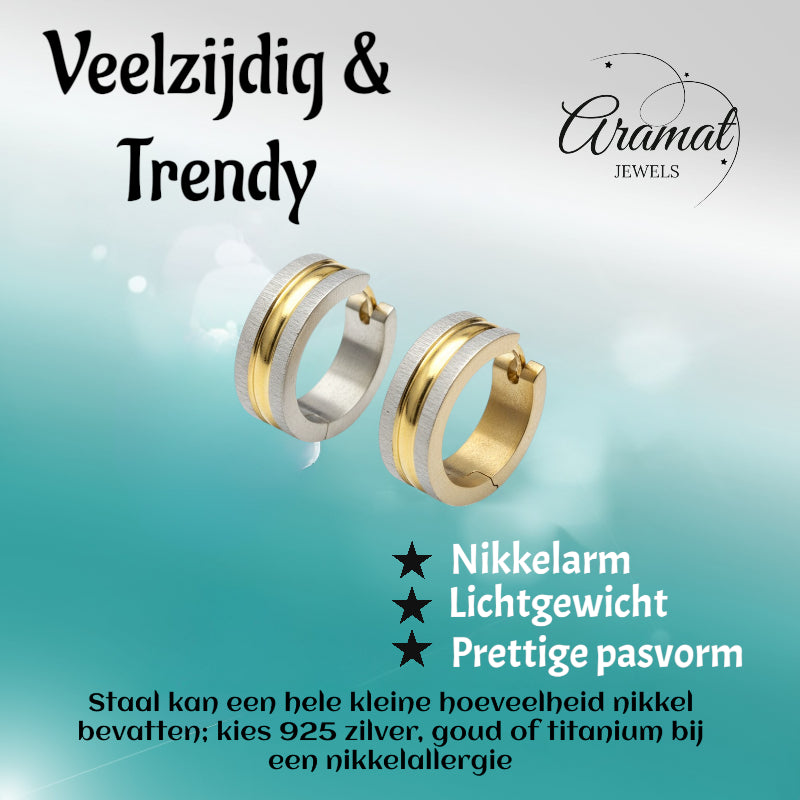 Earrings – Matte Bicolor Stainless Steel Silver/Gold Stripes (20x7mm) 