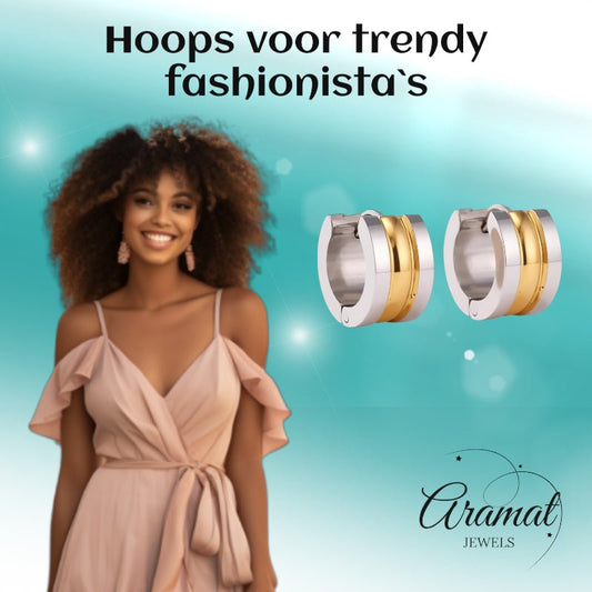 Bicolor Stalen Oorringen met Twee Halfronde Strepen - Aramat Jewels - Oorringen - cadeautip