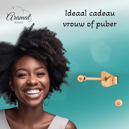 Bolletjes oorbellen – rosékleur – 2mm - oor2718 - 13816 - Oorbellen kopen# - 2mm - alles - bolletjes