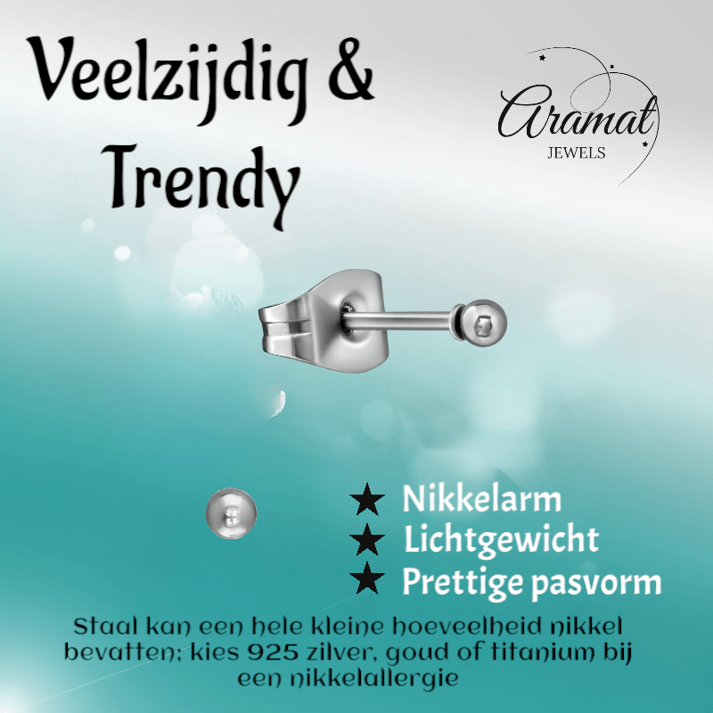 Bolletjes oorbellen – zilverkleur – 2mm - oor2742 - XE2224 - Oorbellen kopen# - 2mm - alles - bolletjes