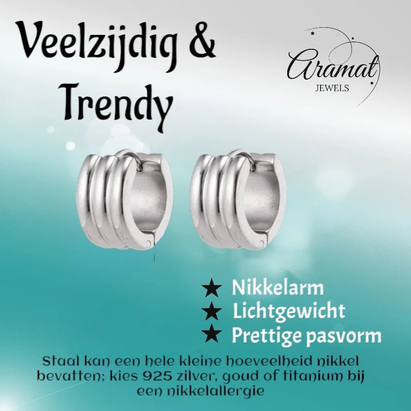 Brede Zilverkleurige Stalen Oorringen 13x7mm - oor5823 - se20001 - Oorringen kopen# - 13mm - 7mm - alles