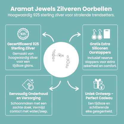 Glinsterende zilveren Oorbellen met 10x3mm Kristal - Aramat Jewels - Oorbellen - cadeautip