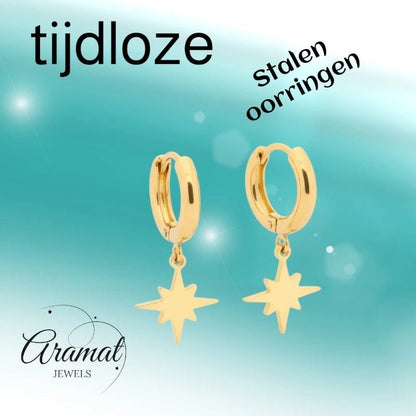 Gouden Oorbellen met Ishster Ster Bedel 10mm - Aramat Jewels - Oorringen - cadeautip