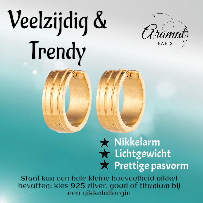 Goudkleurige Oorringen - RVS - Twee Strepen - Uniseks - oor5813 - Oorringen kopen# - 20mm - alles - cadeau