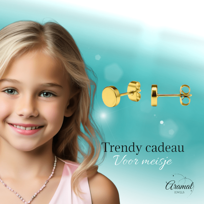Goudkleurige Ronde Oorstekers RVS 6mm - Aramat Jewels - Oorbellen - cadeautip