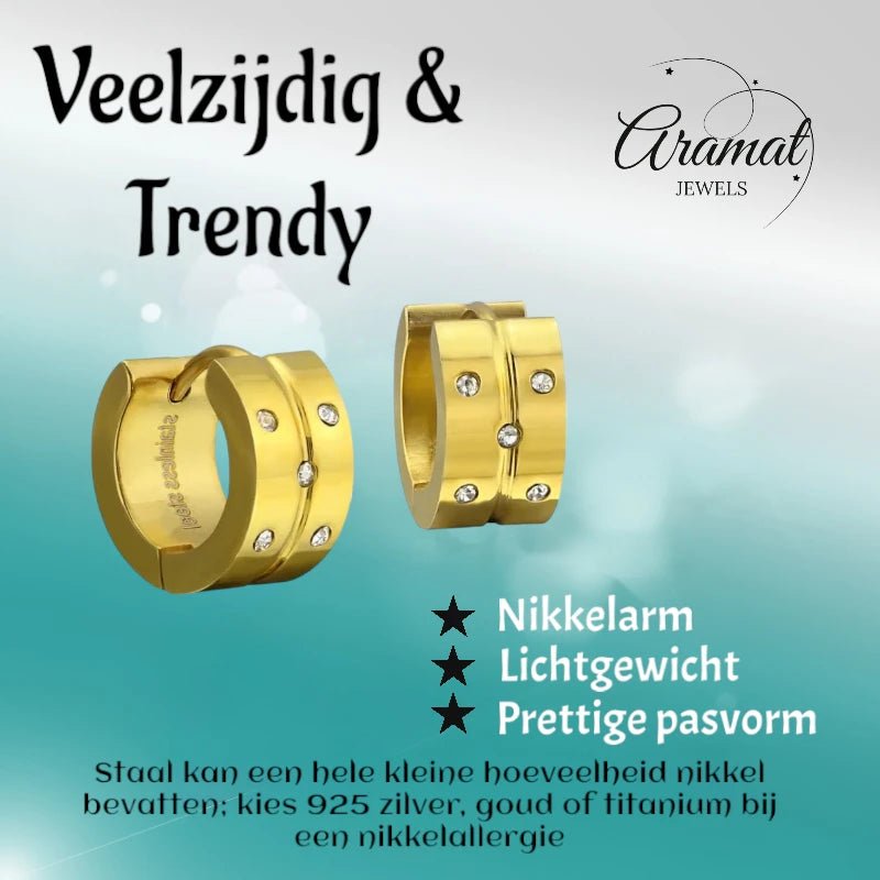 Goudkleurige RVS Oorringetjes - Met Zirkonia Steentjes - oor4110 - 34152 - Oorringen kopen