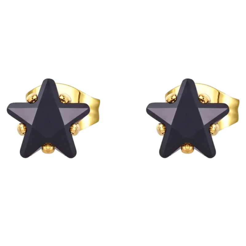 Een paar zwarte ster oorbellen
