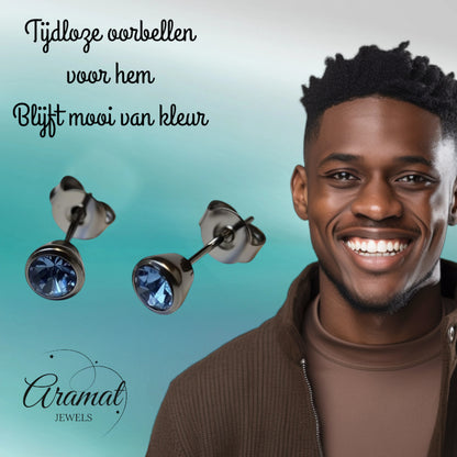 Earrings – Steel Purple Crystal Silver-colored (5mm) 