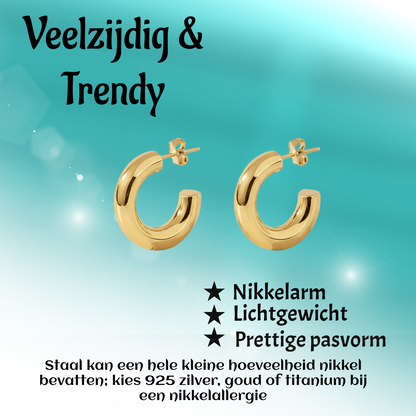 Massieve Halve Oorringen Glad RVS 25x8mm