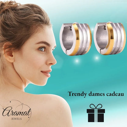 mini Oorringen – Staal Bicolor Strepen Mat (13mm) - Aramat Jewels - Oorringen - cadeautip