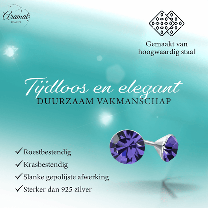 Mini Oorstekers Violet Paars – 3mm – RVS - Aramat Jewels - Oorbellen - cadeautip