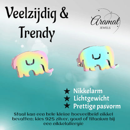 Olifant Oorbellen Regenboogkleurig RVS – 10x6mm – Meisje Dierenoorbellen - oor1043 - Oorbellen kopen# - 10mm - alles - cadeau