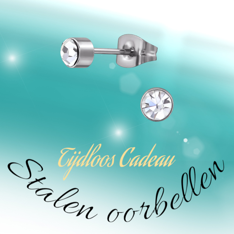 Boucles d'oreilles puces en cristal transparent – ​​4 mm acier inoxydable argenté