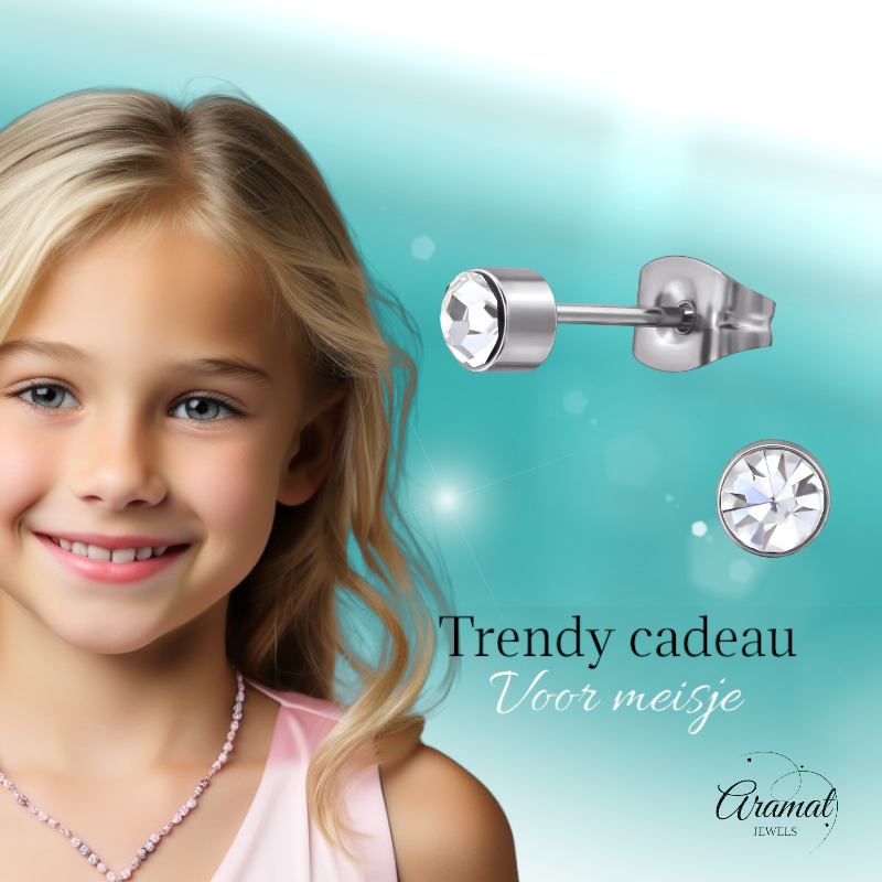 Boucles d'oreilles puces en cristal transparent – ​​4 mm acier inoxydable argenté