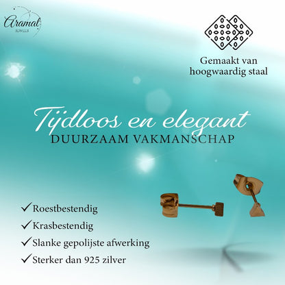 Steel Triangle Earrings Gold Color – 3mm