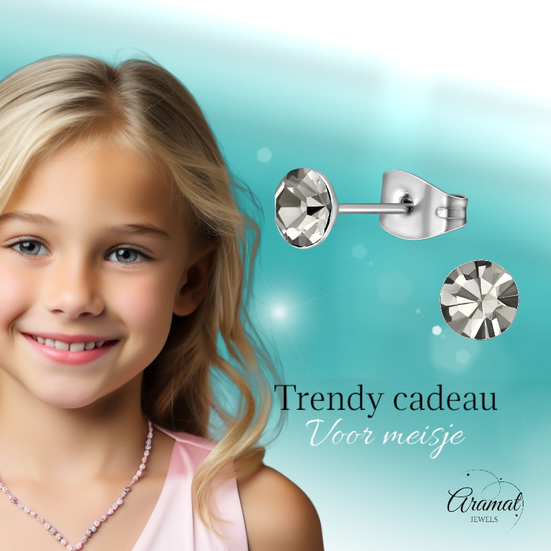 Steel Crystal Earrings with Black Diamond Stone – Silver Color – 5mm