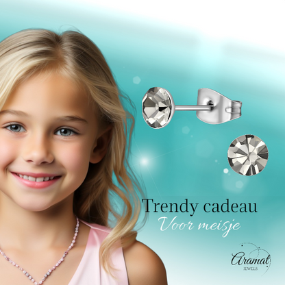 Steel Crystal Earrings with Black Diamond Stone – Silver Color – 5mm