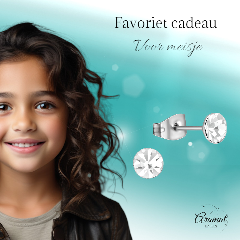 Steel Crystal Earrings with transparent stone – Silver color – 5mm