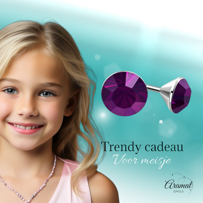 Steel Crystal Earrings with purple stone – Silver color – 3mm