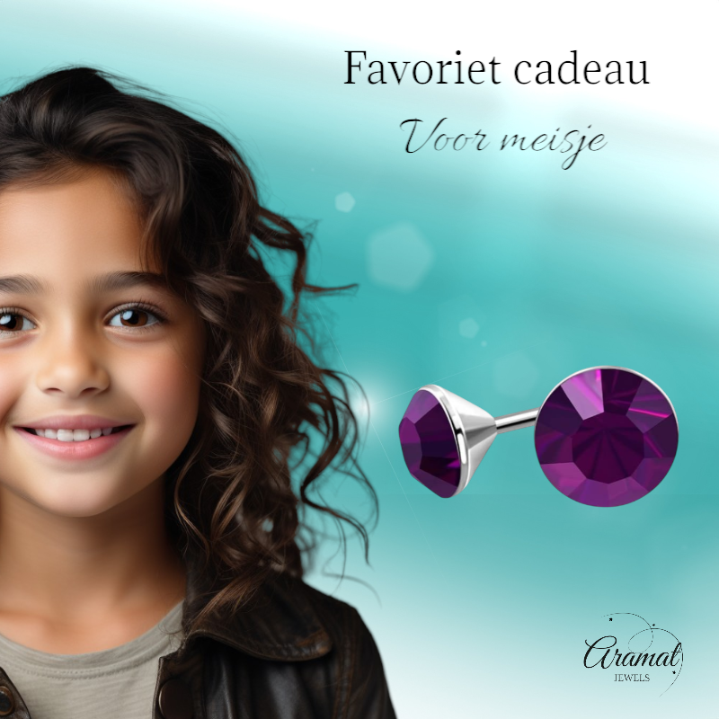 Steel Crystal Earrings with purple stone – Silver color – 3mm