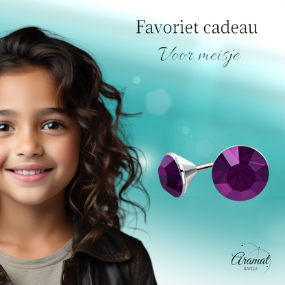 Steel Crystal Earrings with purple stone – Silver color – 3mm