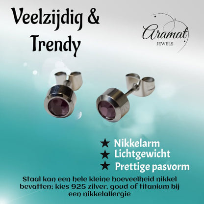 Oorbellen – Staal Licht Paarse Kristal (6mm) - Aramat Jewels - Oorbellen - cadeautip