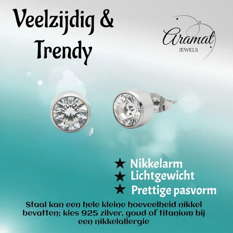 Oorstekers – Staal Kristal Transparant Zilverkleur (10mm) - Aramat Jewels - Oorbellen - cadeautip