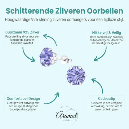 Paarse Kristal Oorbellen Sterling Zilver - Aramat Jewels - Oorbellen - cadeautip