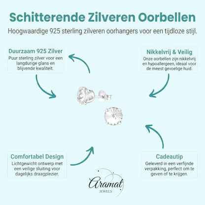 Prachtige Kristallen Oorbellen van 925 Sterling Zilver - Aramat Jewels - Oorbellen - cadeautip