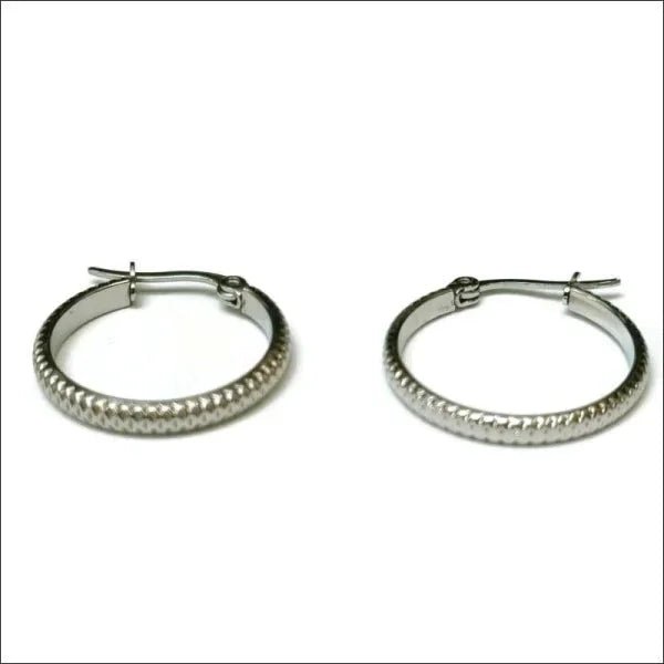 Een paar zilveren hoepeloorbellen