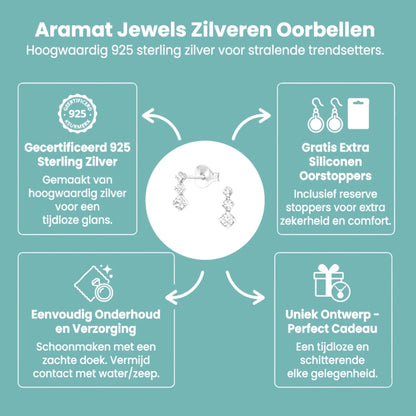 Prachtige Zilveren Kinder Oorbellen met Kristallen - Aramat Jewels - Oorbellen - cadeautip