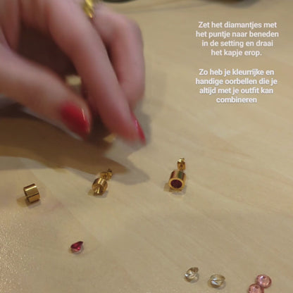 Steel Earrings with Interchangeable Zirconia – Stainless Steel