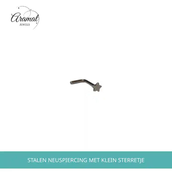 Stalen Neuspiercing met klein Sterretje by@Outfy