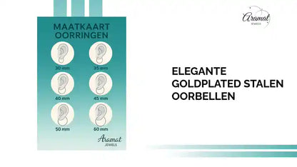 Elegante Goldplated Stalen Oorbellen by@Outfy
