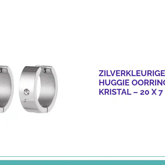 Zilverkleurige Stalen Brede Huggie Oorringen met 1 Kristal &ndash; 20 x 7 mm by@Outfy
